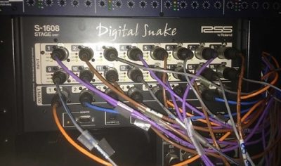 analog vs digital snake